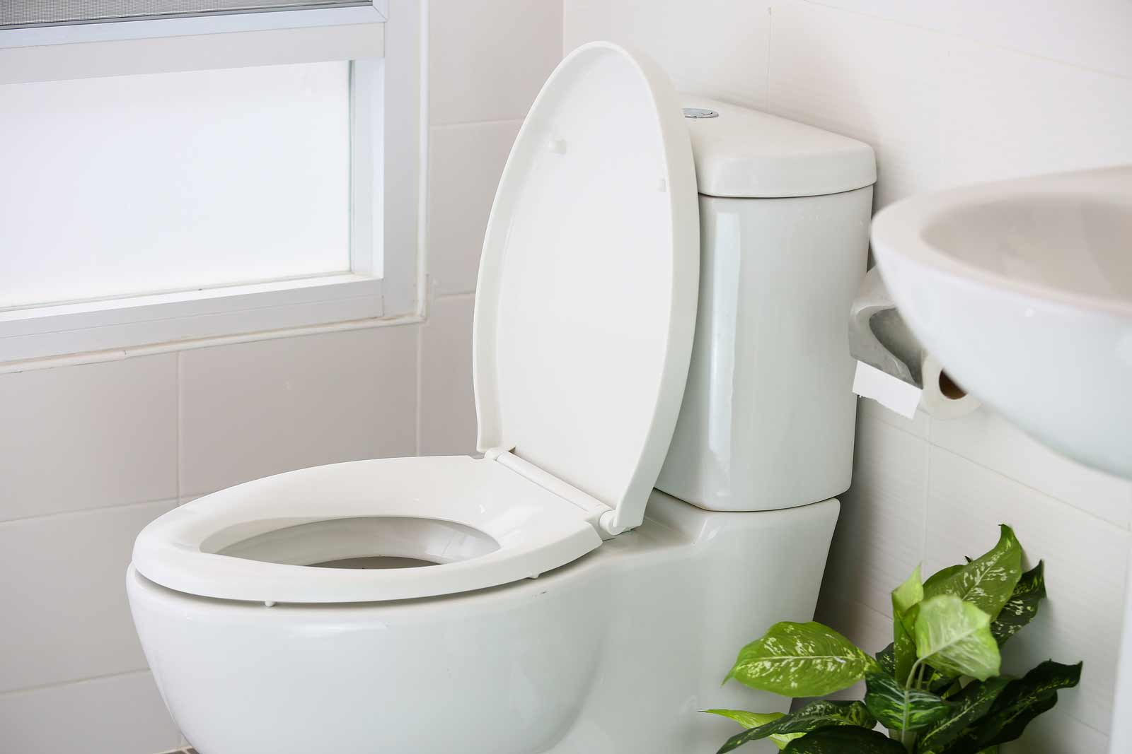 Toilet Drain Unclogging in Indianapolis