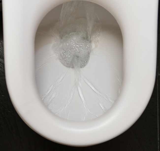 Unclog Your Toilet Drain Indianapolis